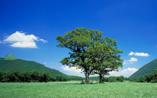 475643 (a): :1440x900